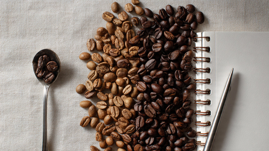 The Willow Creek Coffee Bean Guide: Arabica vs. Robusta, Roast Levels & Grind Sizes