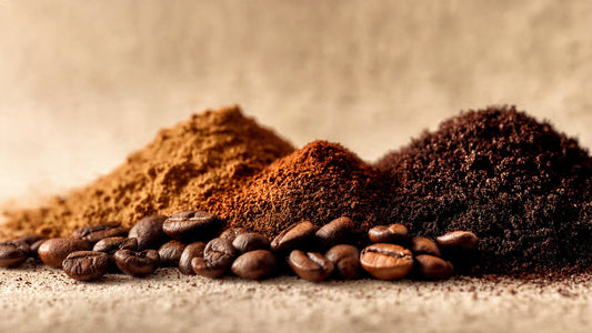 Coffee grind size comparison showing whole beans, coarse grind, medium grind, and fine espresso grind in side view