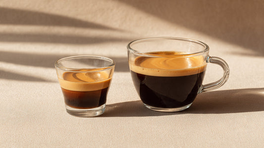 Espresso shot and brewed coffee side by side showing difference in size and color