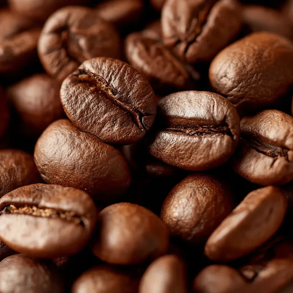 Medium-Dark Roast