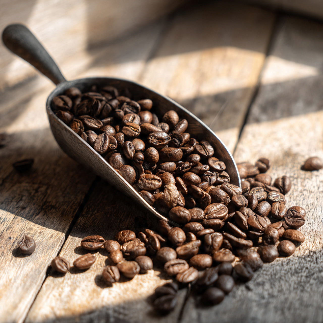 bali blue coffee beans in a metal scoop on a wooden surface