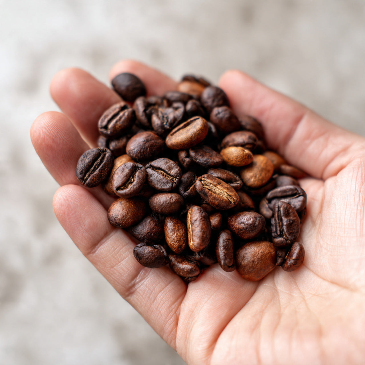 Hand holding a handful of coffee beans with a blurred background