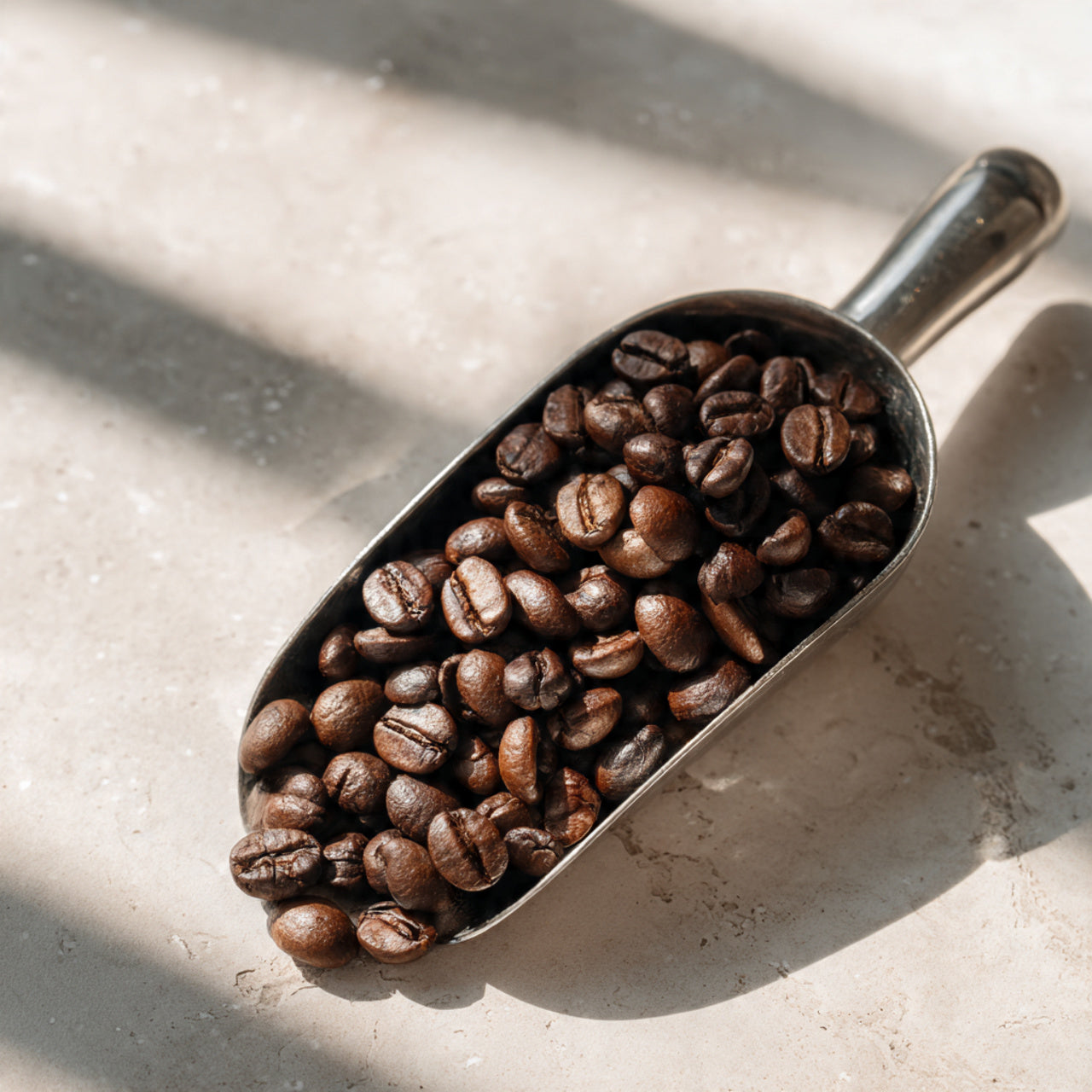Metal scoop filled with costa rica coffee beans on a light background
