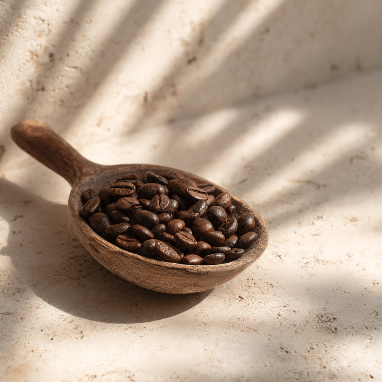 Wooden scoop filled with honduras coffee beans on a light stone surface