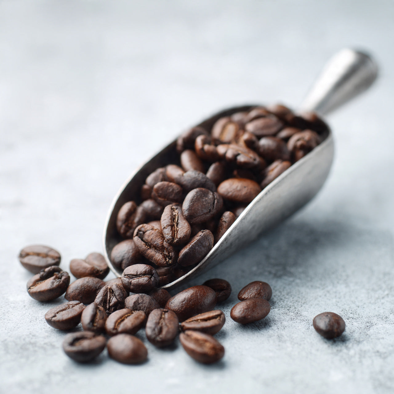 Silver scoop filled with kopi safari coffee beans on a light gray surface