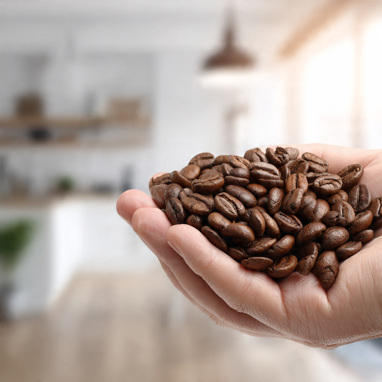 Hand holding a handful of max caf coffee beans with a blurred indoor background
