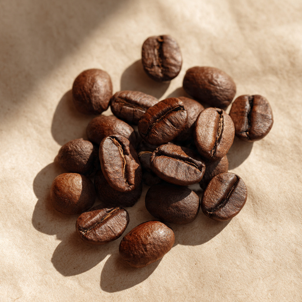 fresh roasted mocha coffee beans on a textured surface